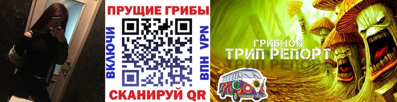 даркнет сайт  Ядрин  Псилоцибиновые грибы прущие грибы 